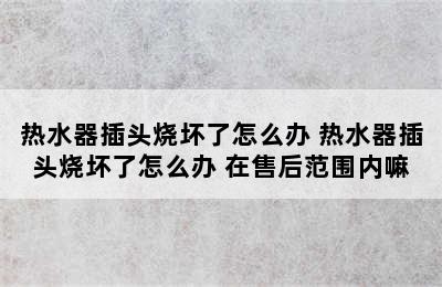 热水器插头烧坏了怎么办 热水器插头烧坏了怎么办 在售后范围内嘛